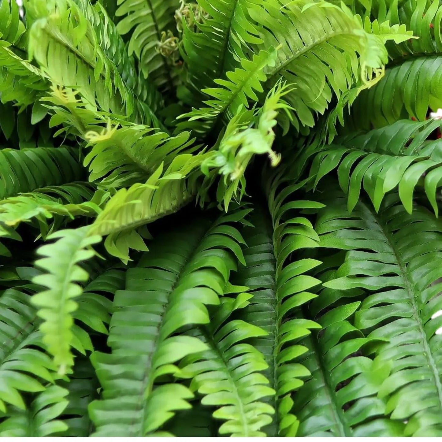 Large UV Resistant Outdoor Fake Boston Fern Plant - 38" Campglow