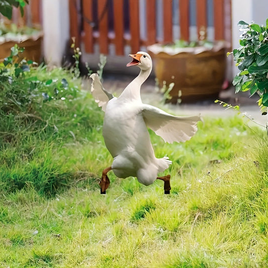 A lovely goose