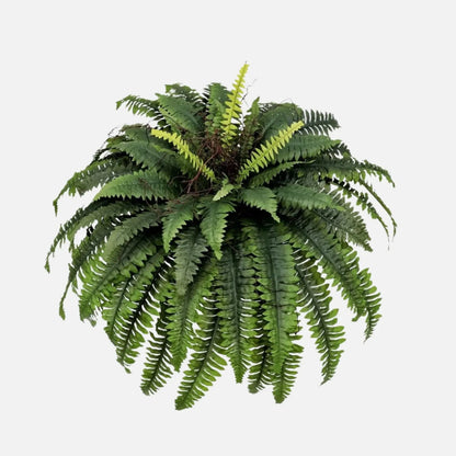 Large UV Resistant Outdoor Fake Boston Fern Plant - 38" Campglow