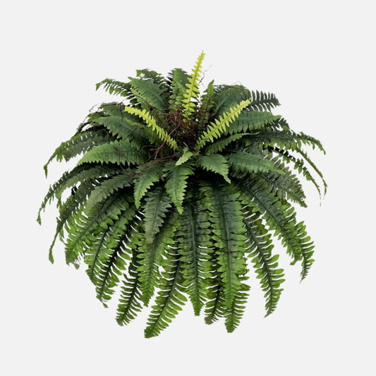 Large UV Resistant Outdoor Fake Boston Fern Plant - 38" Campglow