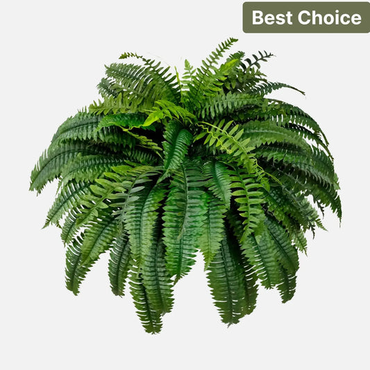 Artificial Boston Fern - 48" Campglow