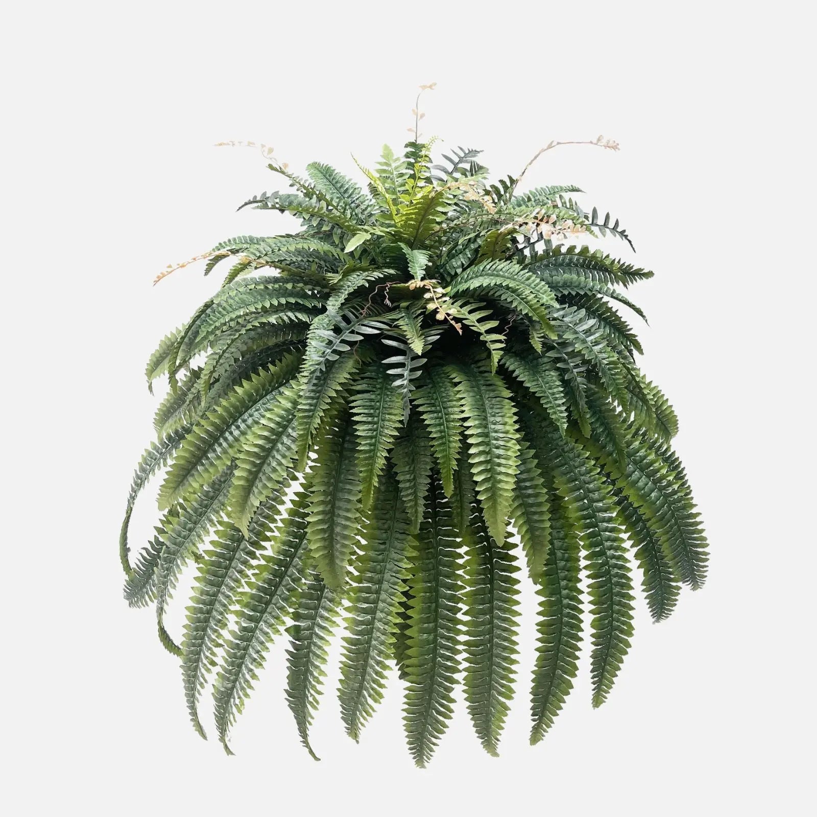 Artificial Estate Fake Fern - 52" Campglow