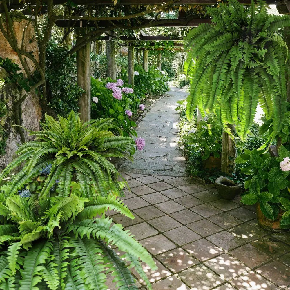Artificial Estate Fake Fern - 52" Campglow