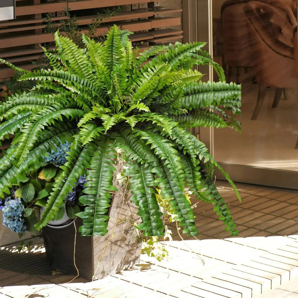 Artificial Estate Fake Fern - 52" Campglow